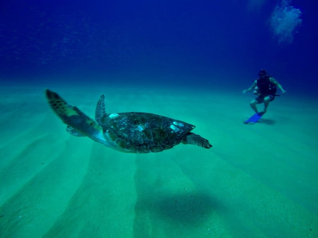 el arco snorkeling