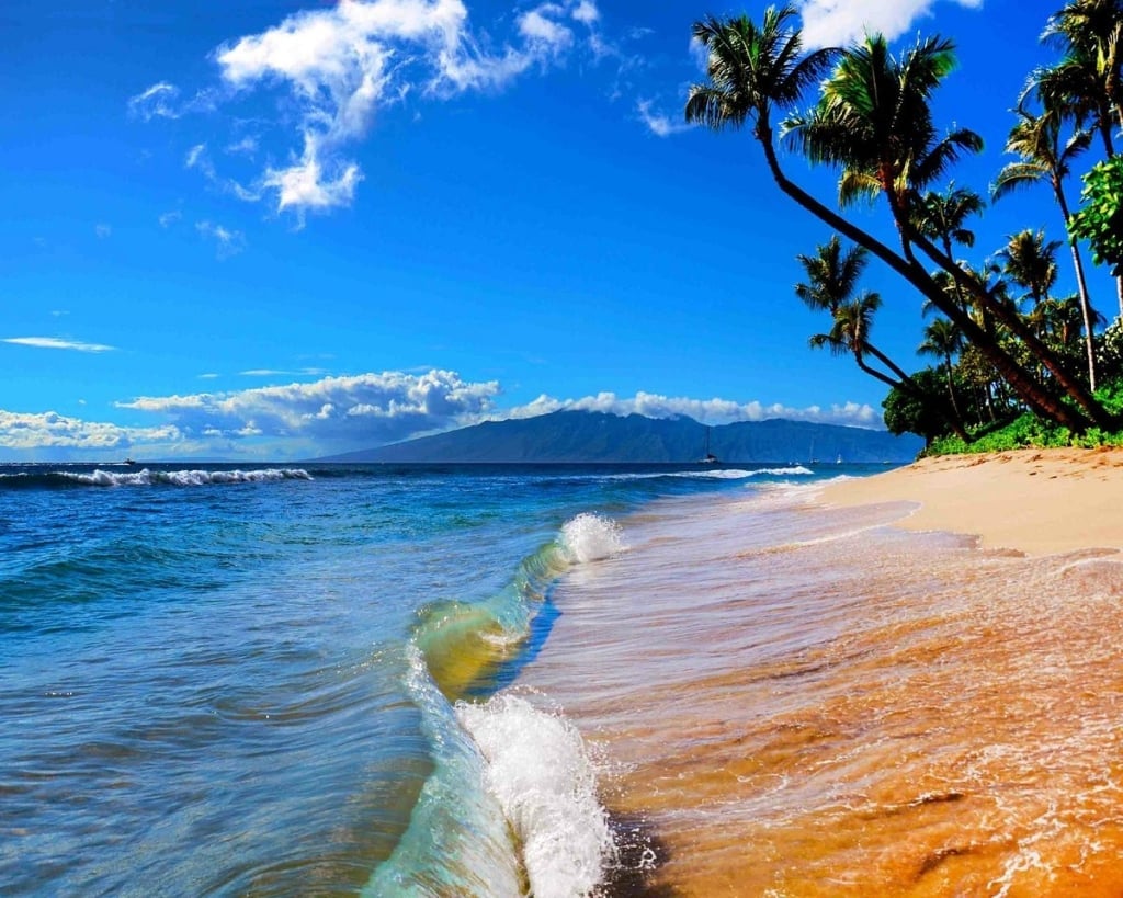 Maui Ocean valentine's day trip deals