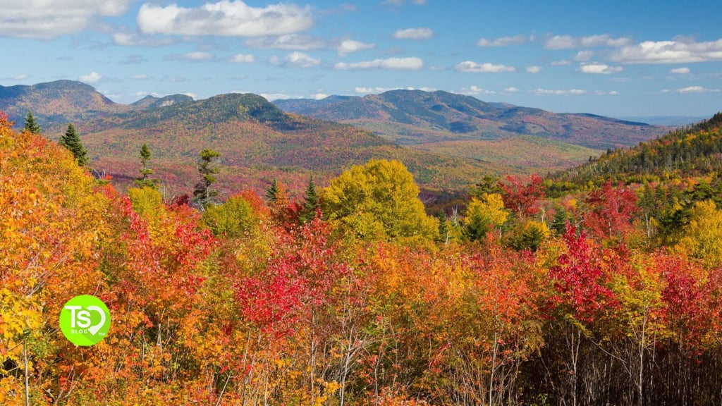 5 best places to stay in vermont