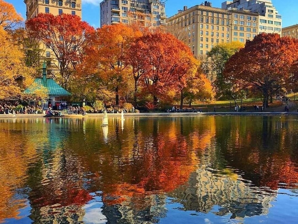 NYC Fall