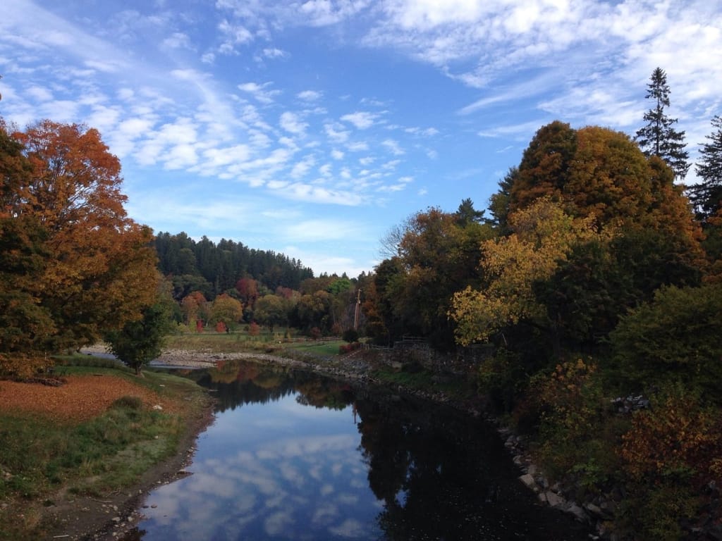 fall foliage