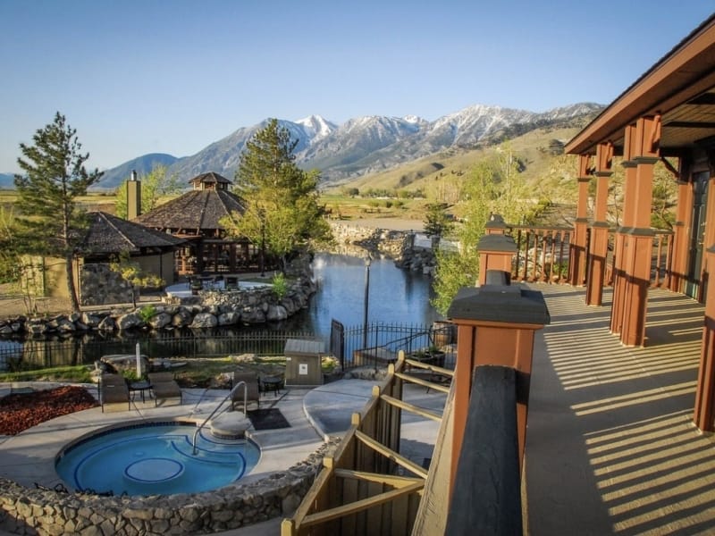 Top Pet-Friendly Timeshare Resorts to Bring Fido With on Vacation