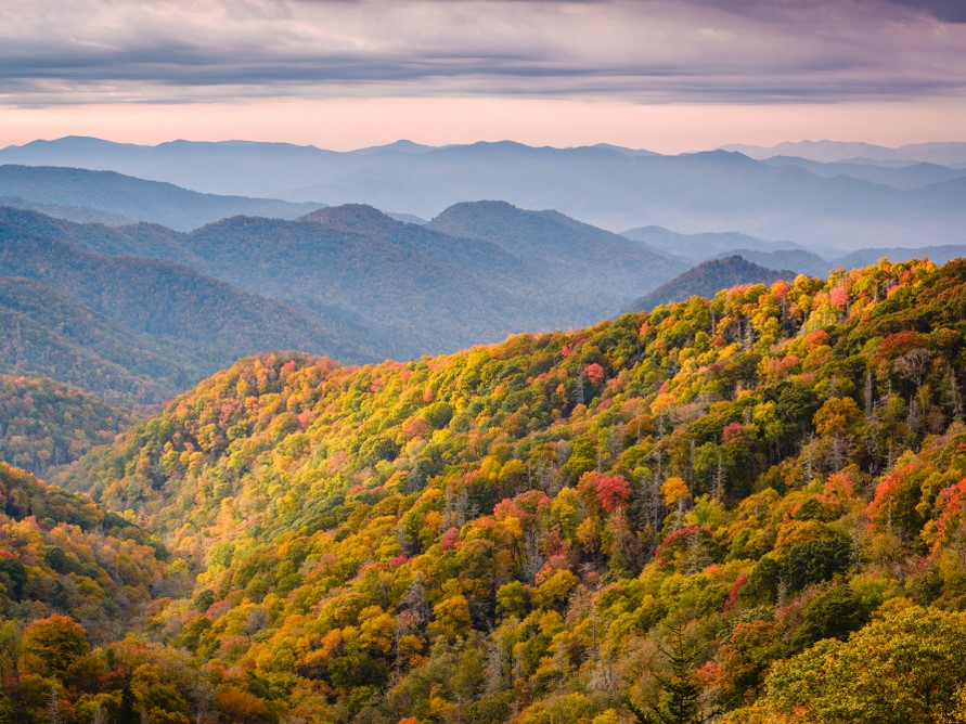 Large Family Vacation Ideas: Great Smoky Mountains
