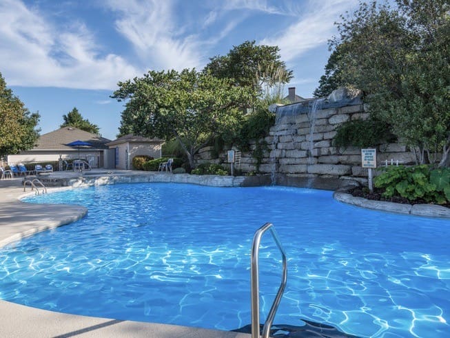 most resorts by Westgate are perfect for dog lovers