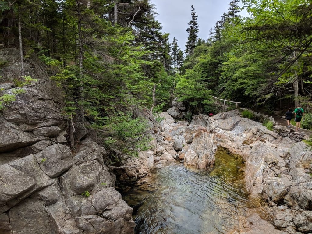 New Hampshire with one of the most beautiful forests in the world