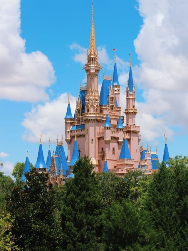 Disney Vacation Club Rentals DVC Points