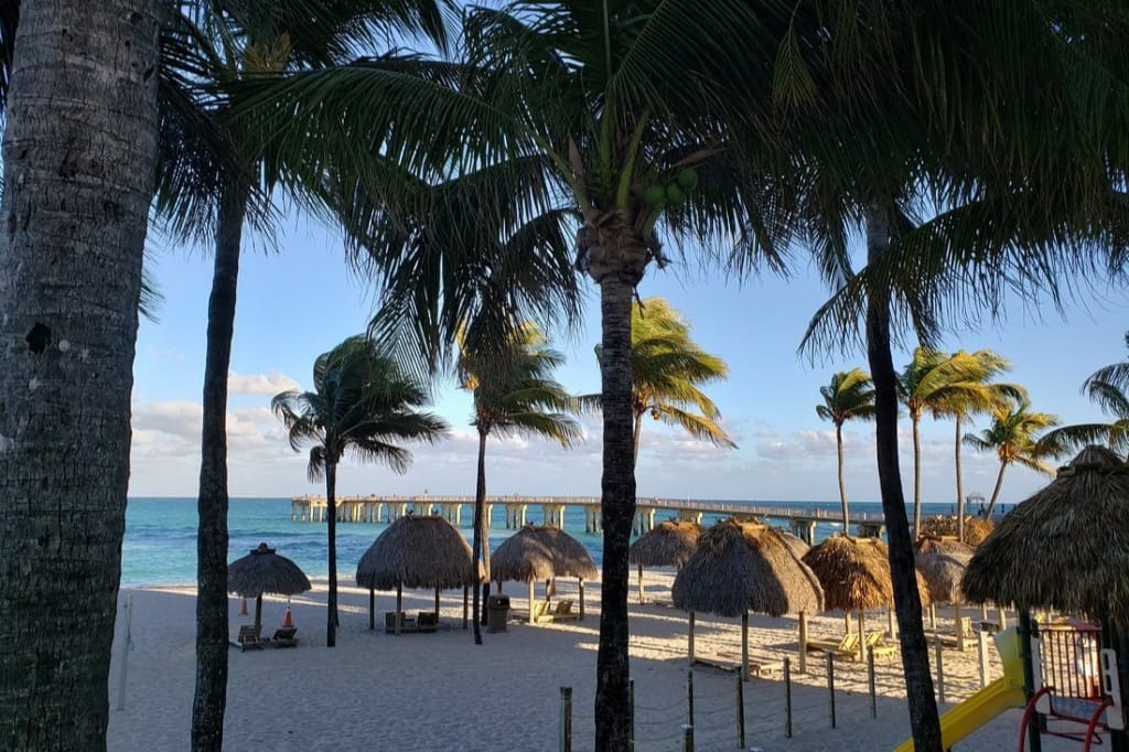 Beach with Palm Trees 