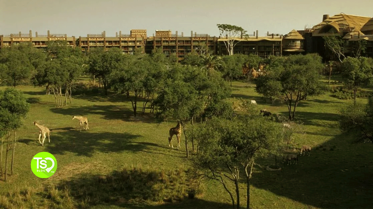 Animal Kingdom Lodge Villas