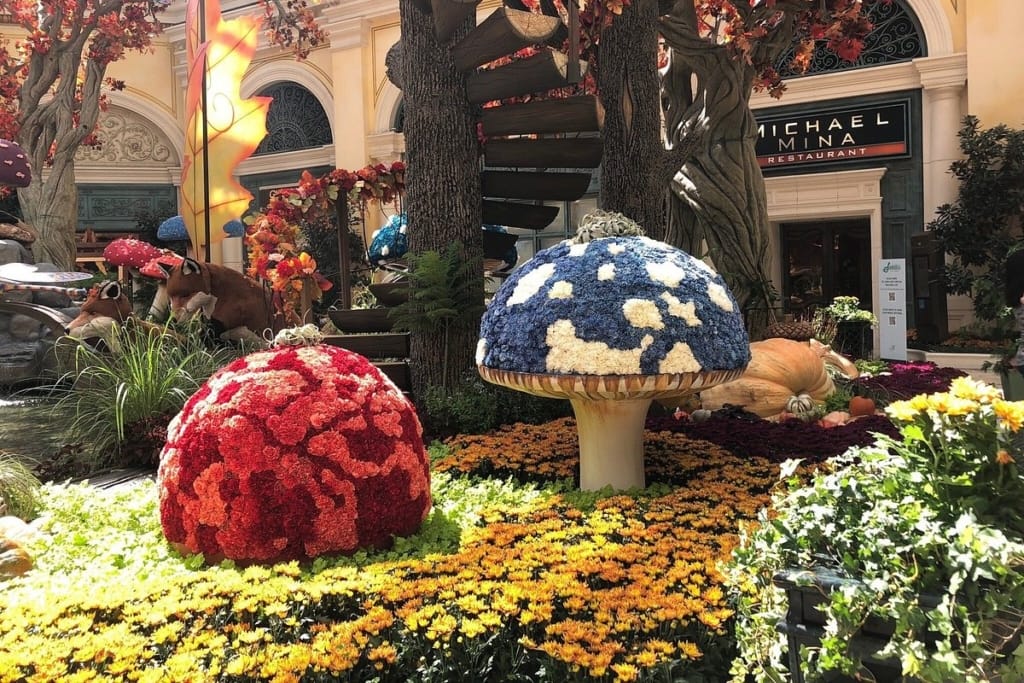 Mushroom Sculptures