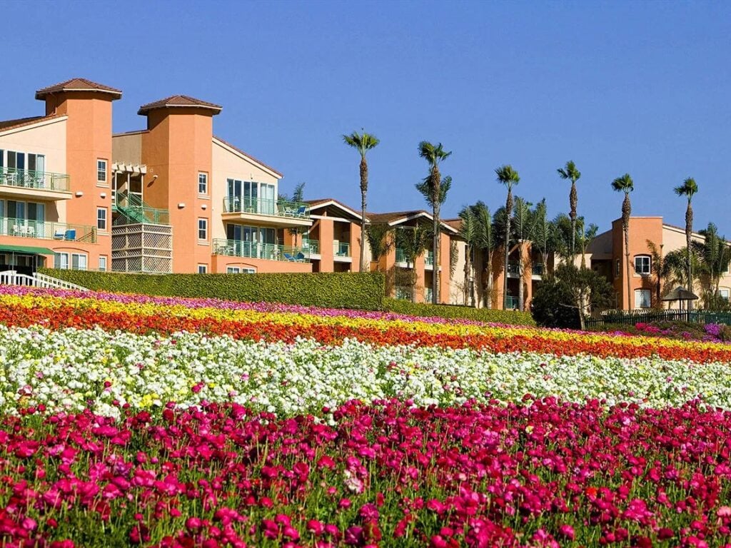 Grand Pacific Palisades Resort Timeshare Resales
