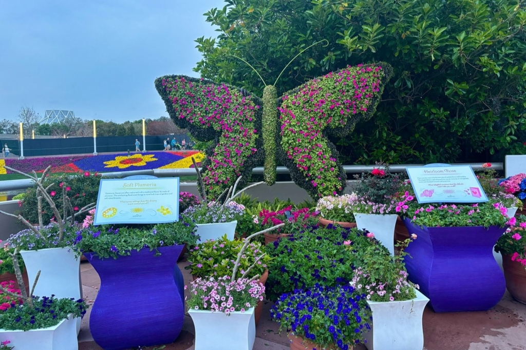 Epcot Flower and Garden Festival Butterfly Topiary 