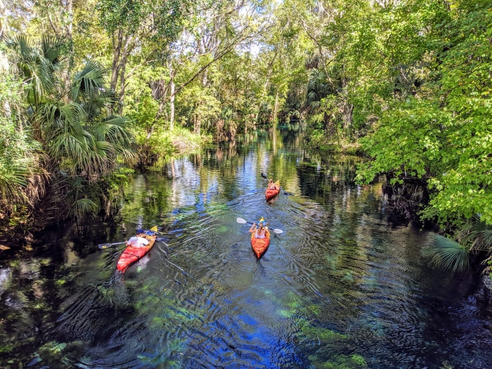 Kayaking in the Springs