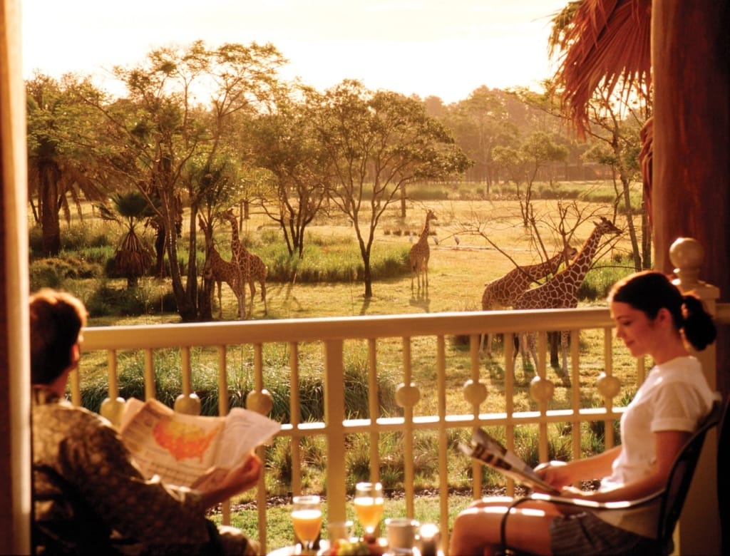 balcony with savanna view