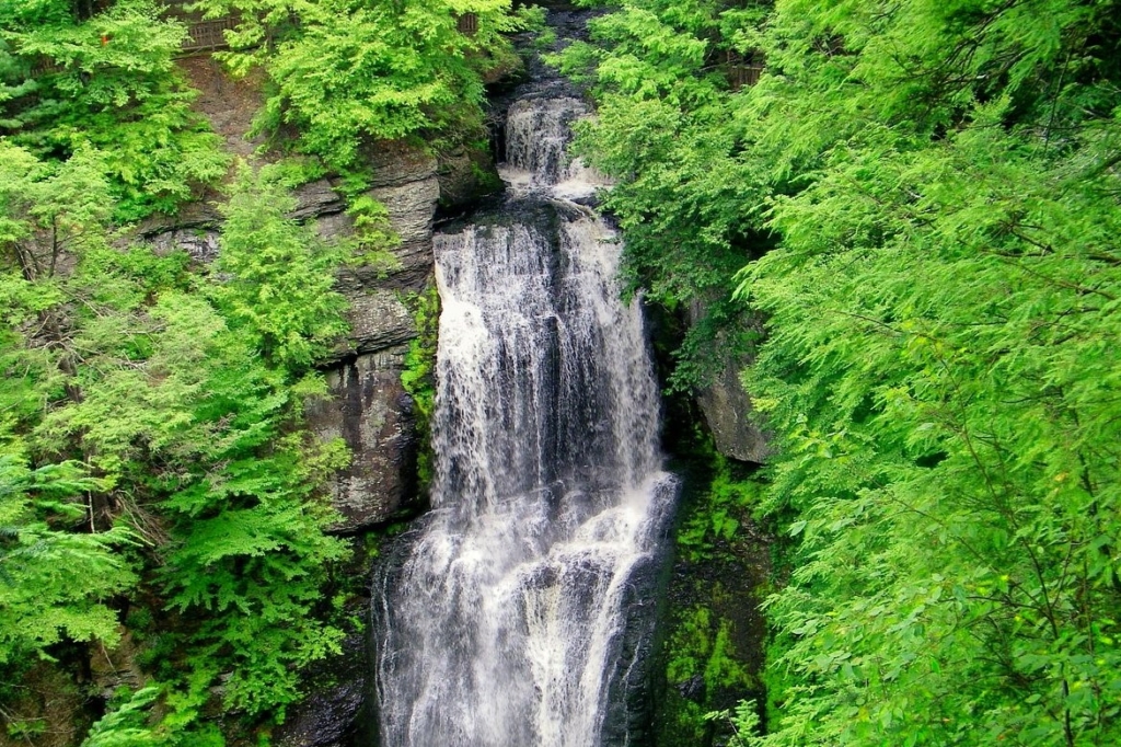 Bushkill falls