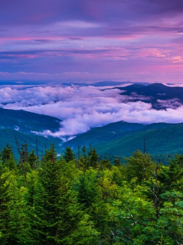 best vacation spots in the us for a day trip