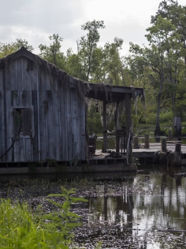 Cajun,Cabin,In,A,Louisiana,Swamp.