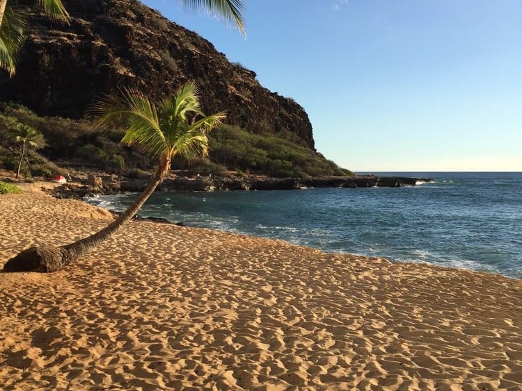 Capital Home Resorts and Internal Exchange Options: Hawaiian Princess Beach