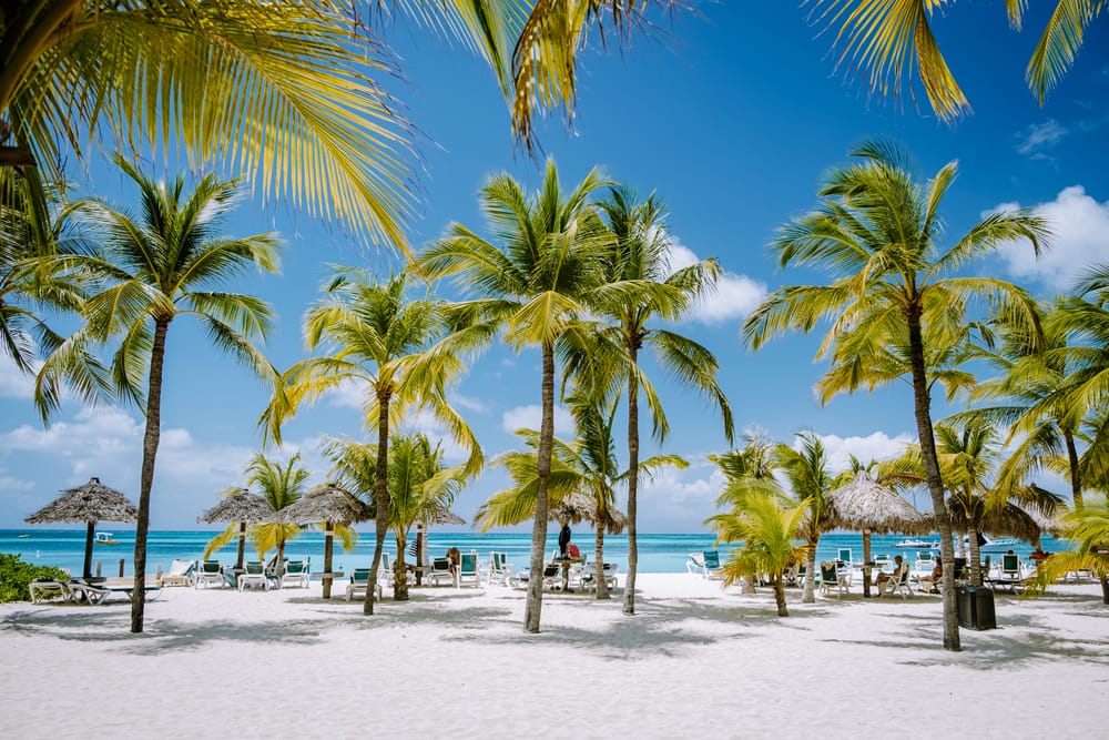 Aloha Hawaii Tours Aruba