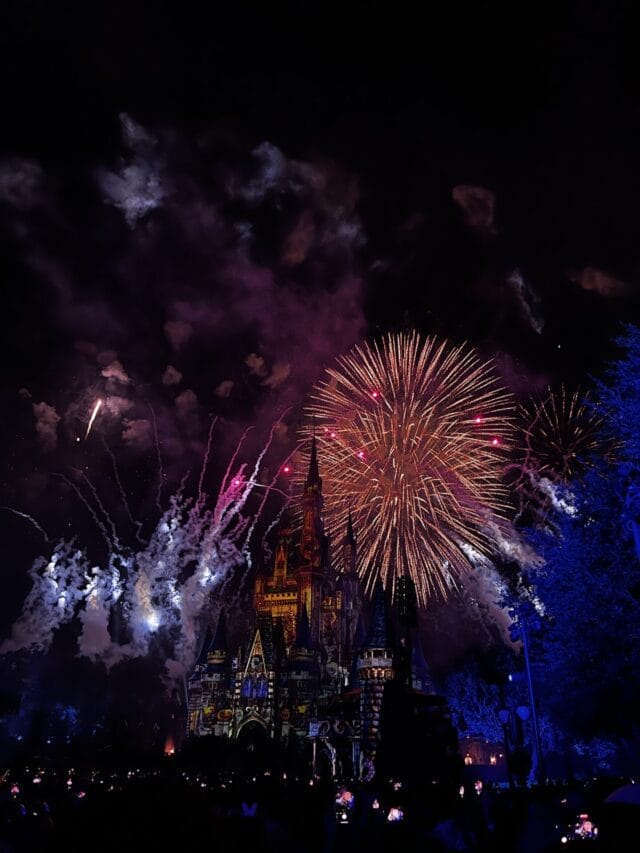 Mickey's Not so Scary Halloween