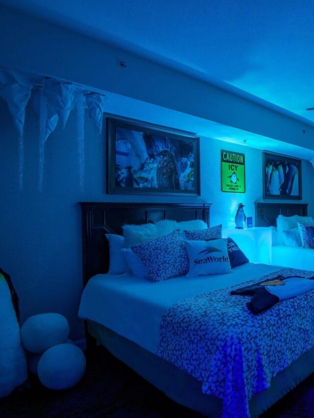 Bonnet Creek SeaWorld Suite