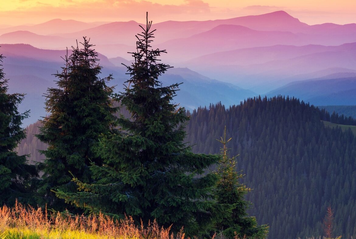 Gatlinburg Westgate, Smokies