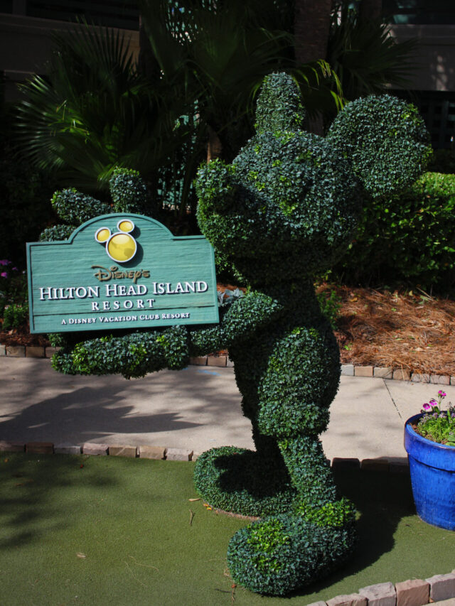 Hilton-Head-Mickey