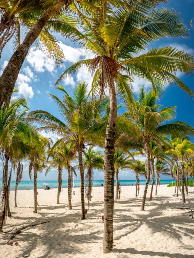 Cancun Beach; mexico beach rentals you must visit
