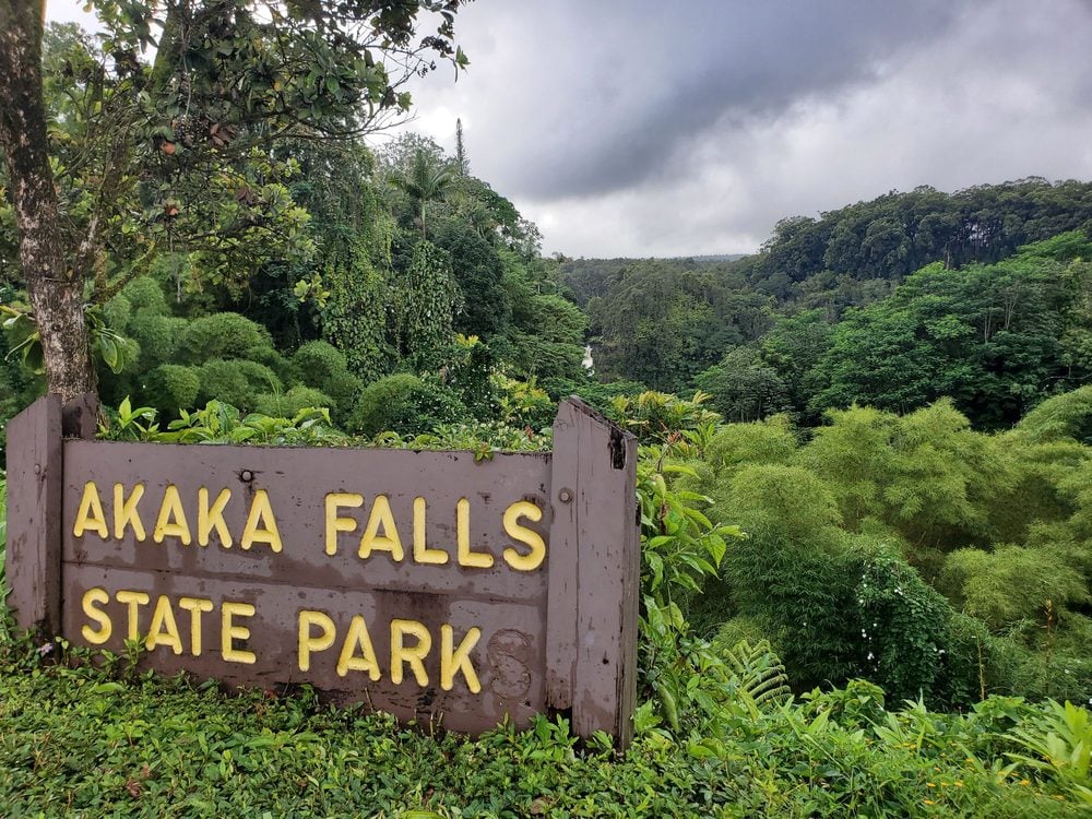 Best Activities on the Big Island: Akaka Falls State Park