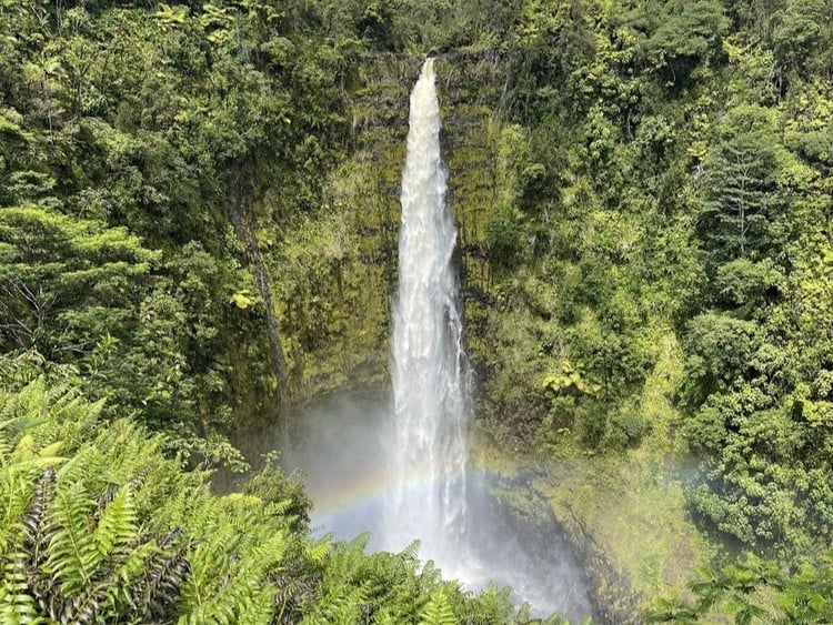 Best Activities on the Big Island: Akaka Falls