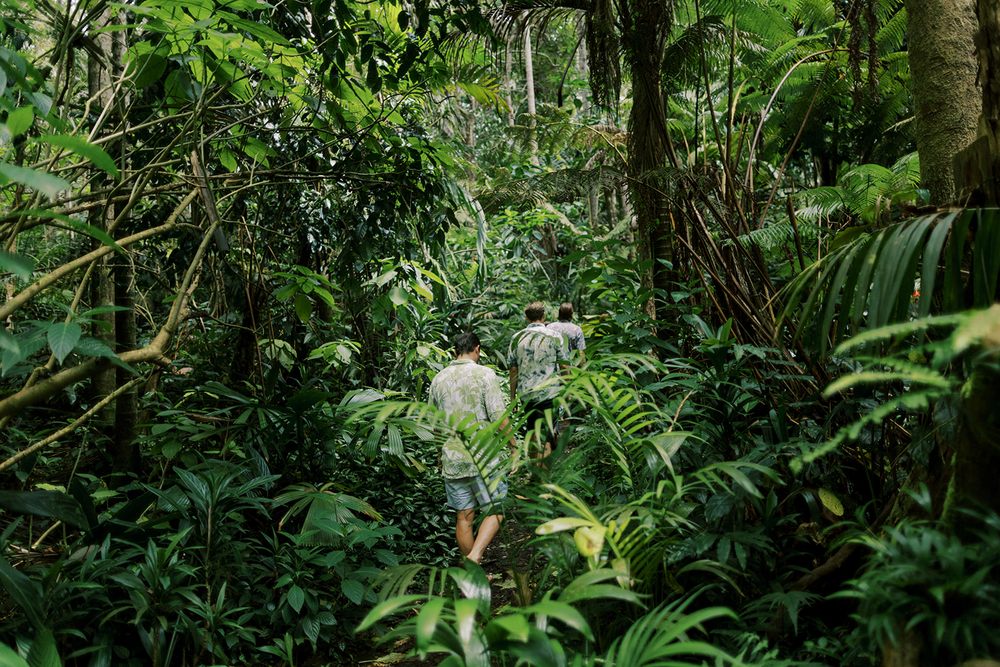 Best Activities on the Big Island: Kona Cloud Forest Sanctuary