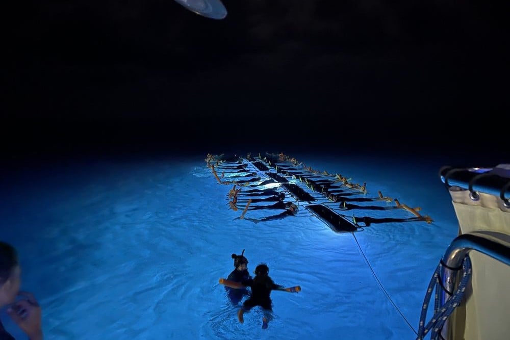 Manta Ray Night Snorkel Flotation Device