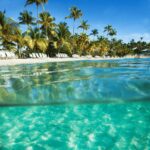 timeshare resale scams