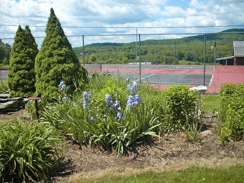 endless mountain resort tennis court