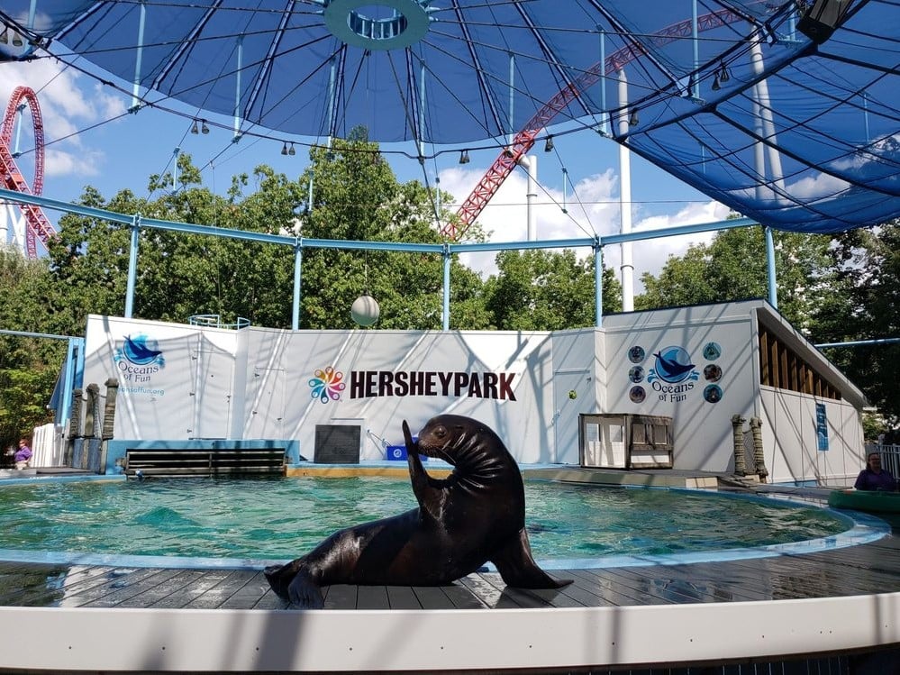 sea lion show at hersheypark