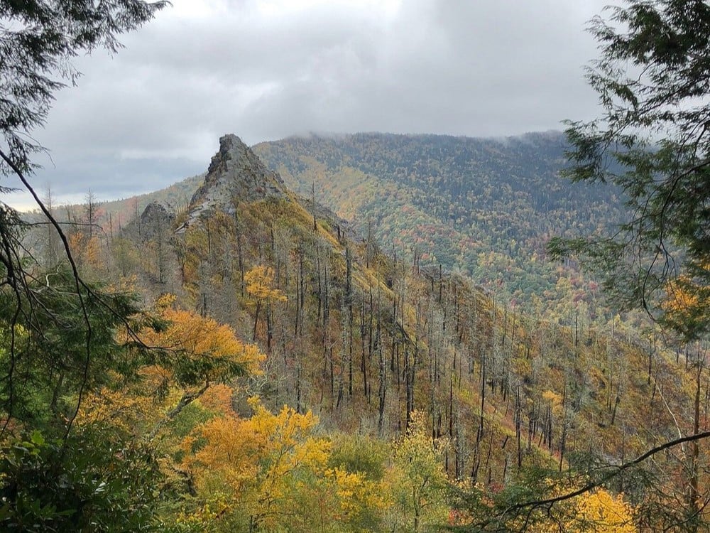 Chimney Tops