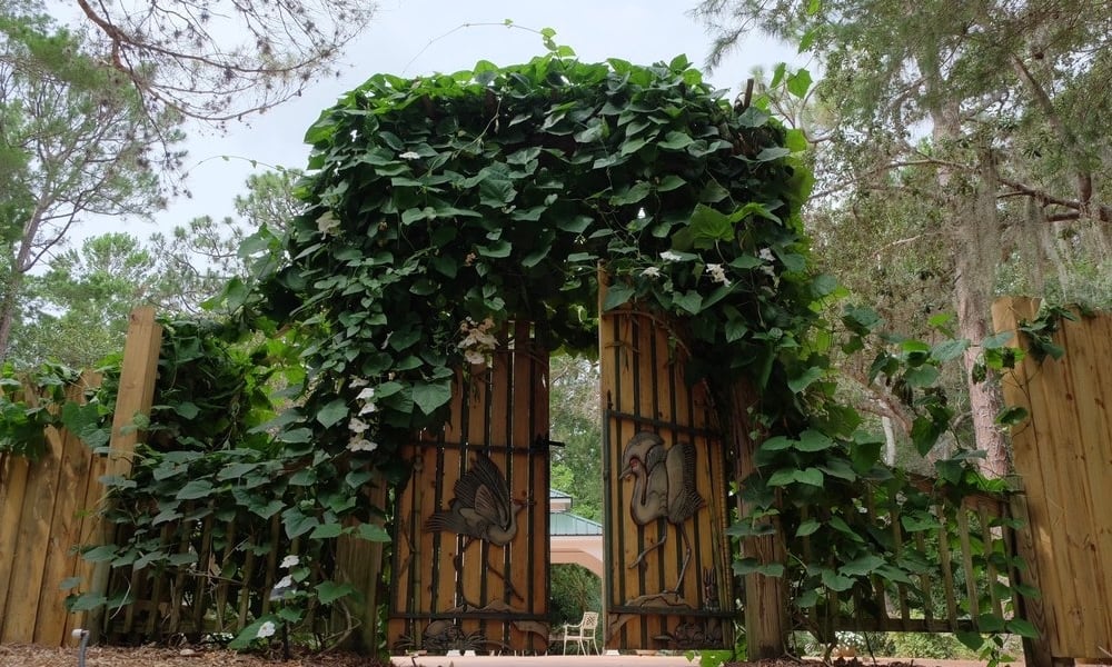 Gates to the Secret Garden at Port St. Lucie Botanical Garden