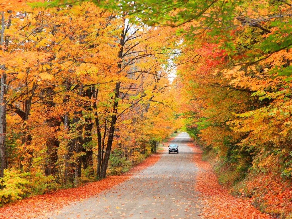 New Hampshire White Mountain National Forest