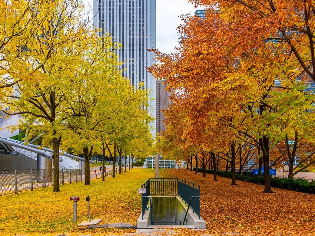 Best Places to Travel for Halloween: Millennium Park in Chicago