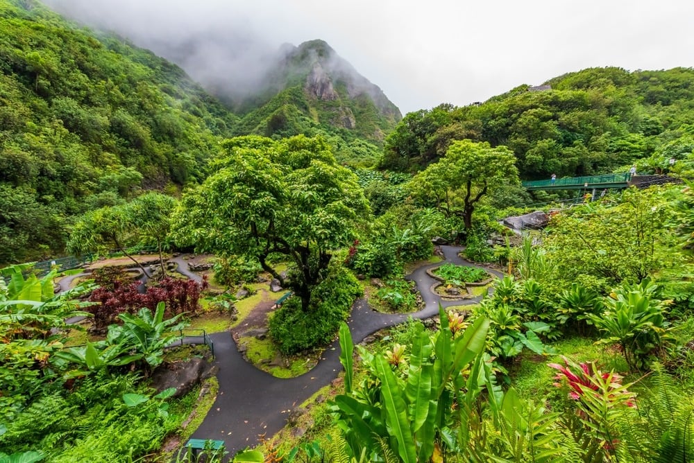 Best Beach Vacations in October: Iao Valley State Park Maui