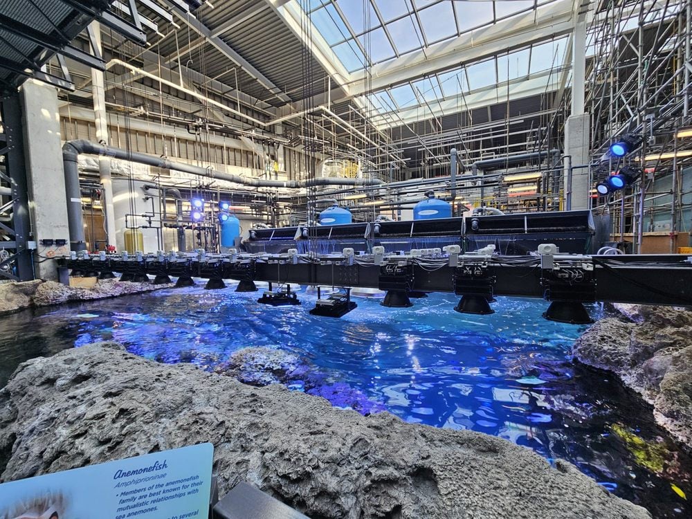 Behind the Scenes at Georgia Aquarium