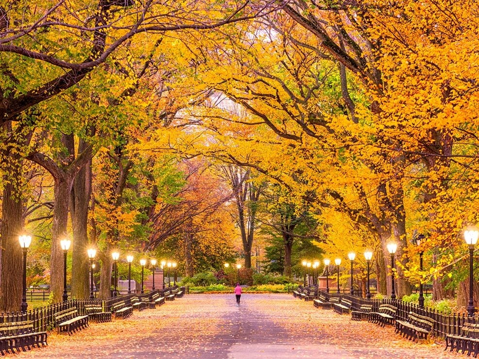 Best Places to Go in October in the US for Adults: Central Park