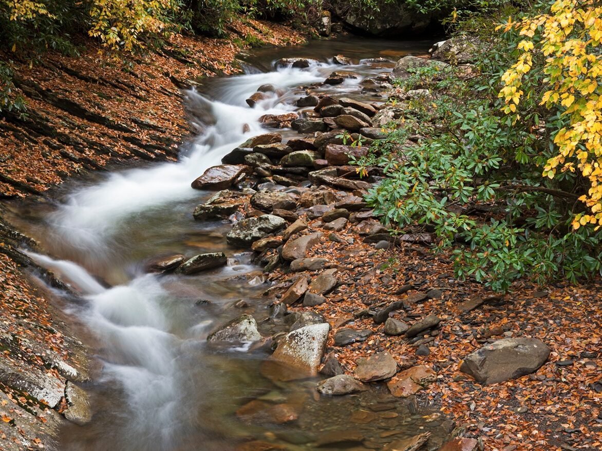 Fall Destinations for Families: Great Smoky Mountains National Park