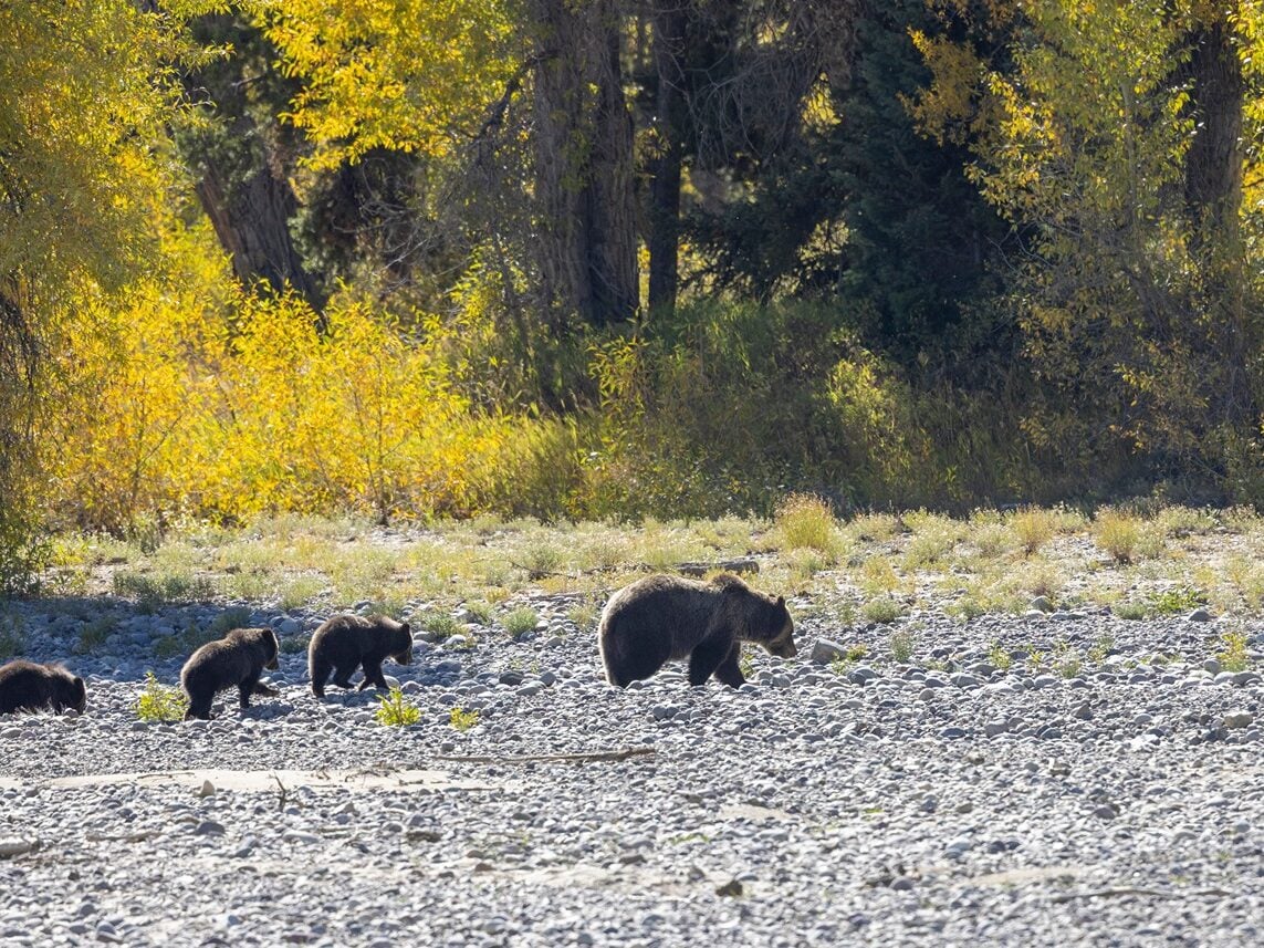 Best Places to Go in October in the US for Adults: Grand Teton National Park