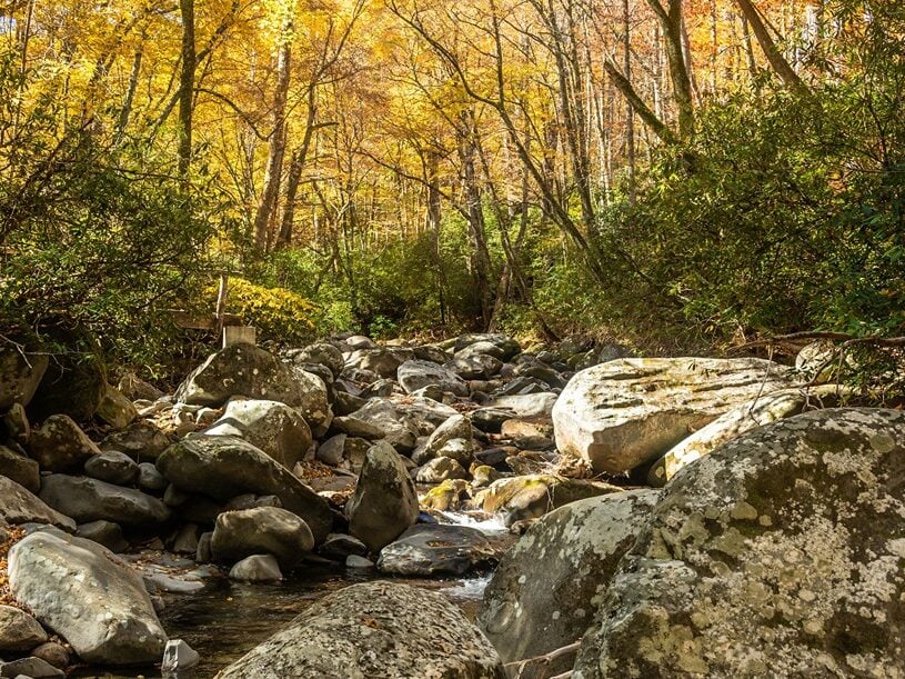 Porters Creek in Great Smoky Mountains in the Fall