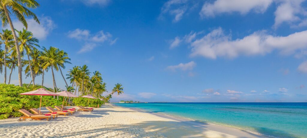 Contact Timeshares Only