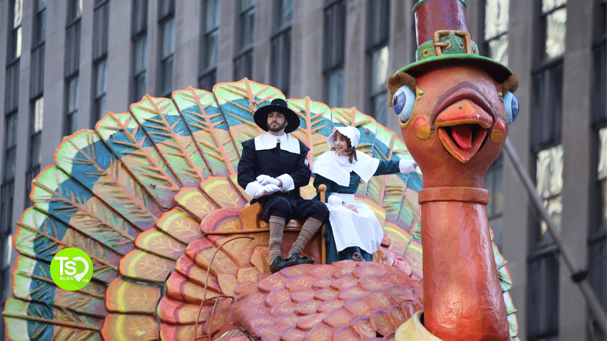 Best Places to Travel in November