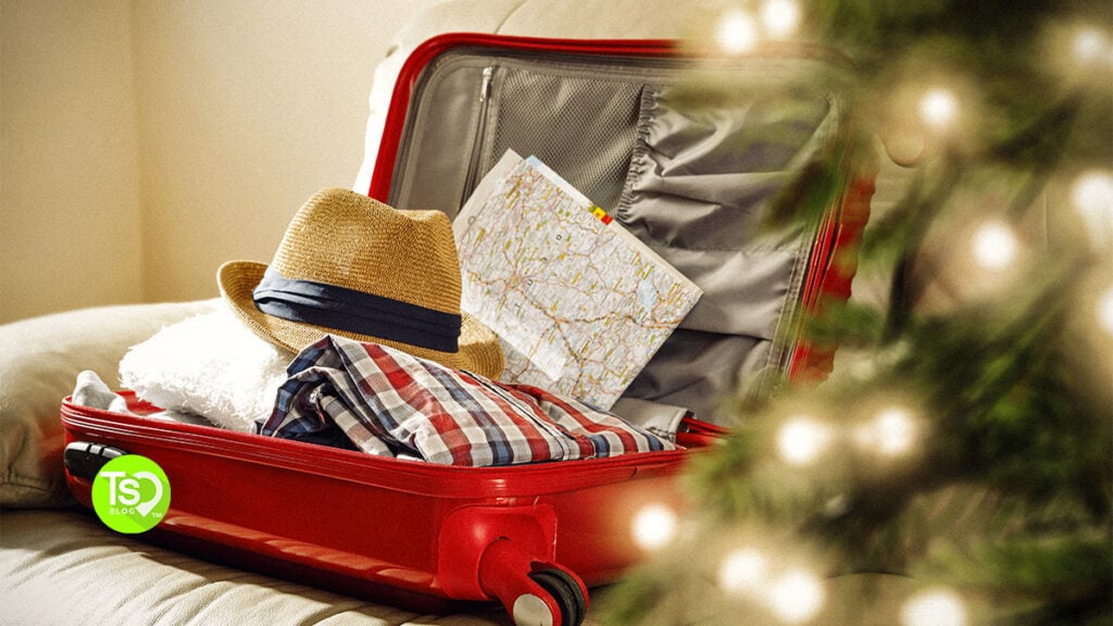 Cheap Christmas Vacation Feature