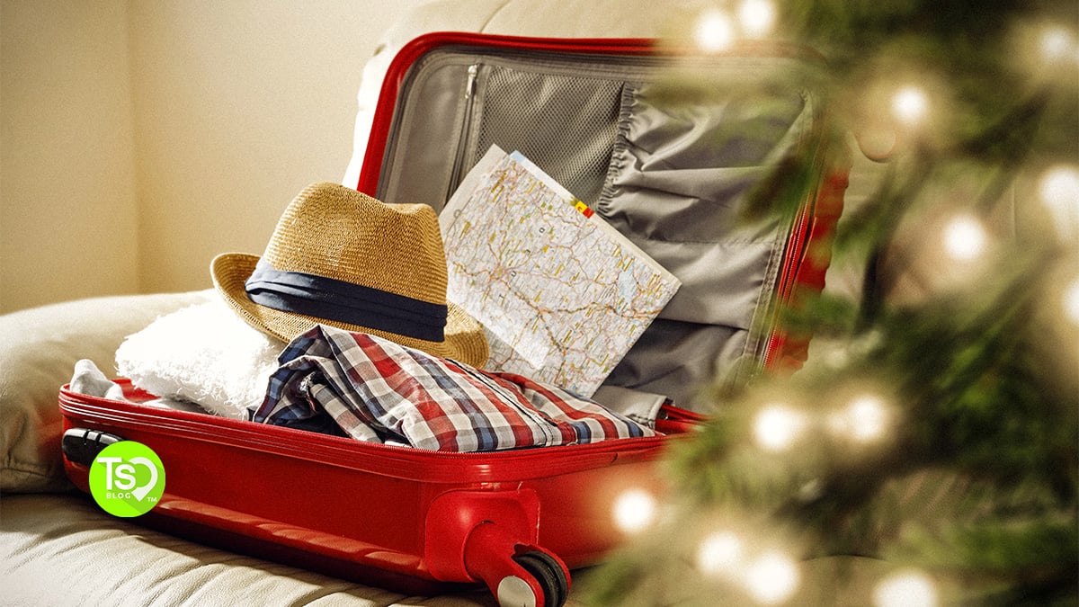 Cheap Christmas Vacation Feature