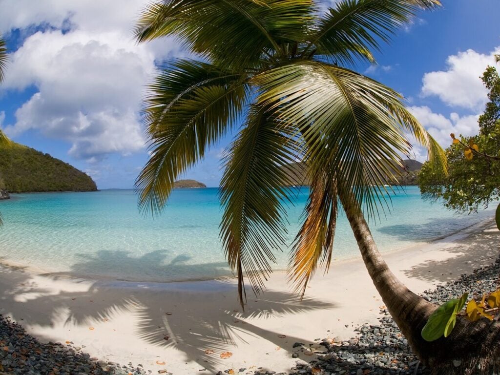 Beach on St John, USVI