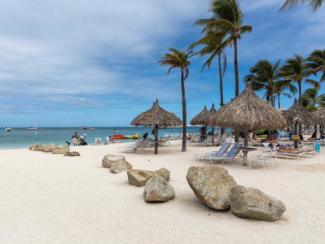 Best Marriott in Caribbean: Surf Club Aruba